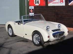 Austin Healey Frogeye Sprite Tifosi Rana